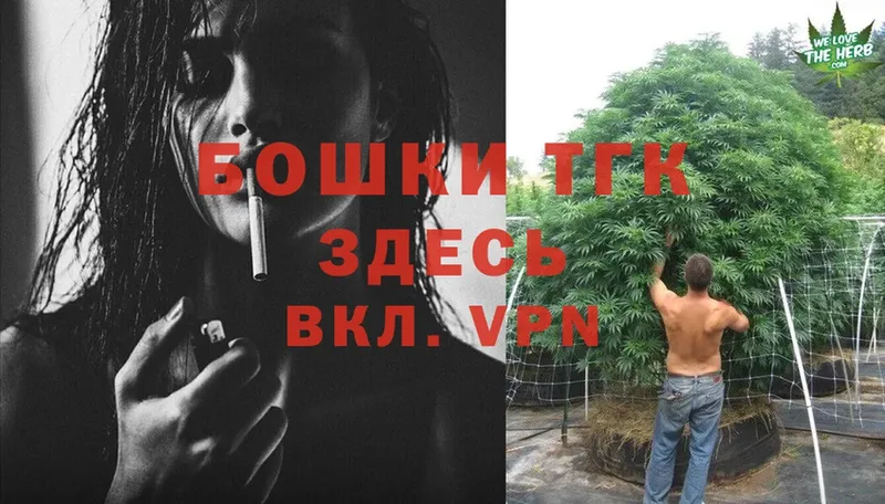 Бошки Шишки SATIVA & INDICA  купить наркотик  Чкаловск 